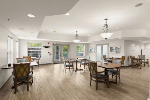 amber-int-12-compressed_Webpifier